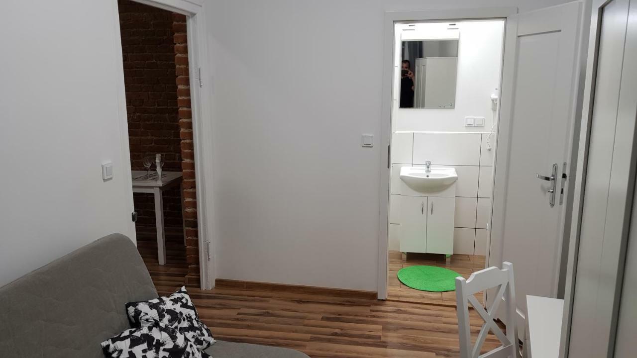 Apartament Nr 15 - 2 Pokoje Z Prywatnymi Lazienkami Centrum ポズナン エクステリア 写真