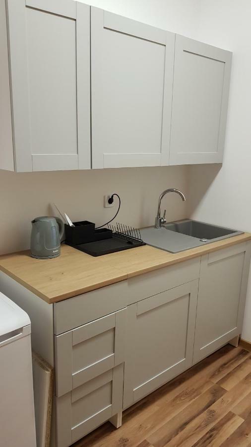 Apartament Nr 15 - 2 Pokoje Z Prywatnymi Lazienkami Centrum ポズナン エクステリア 写真
